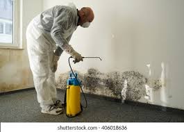 Mold Remediation for Rental Properties in Maeser, UT